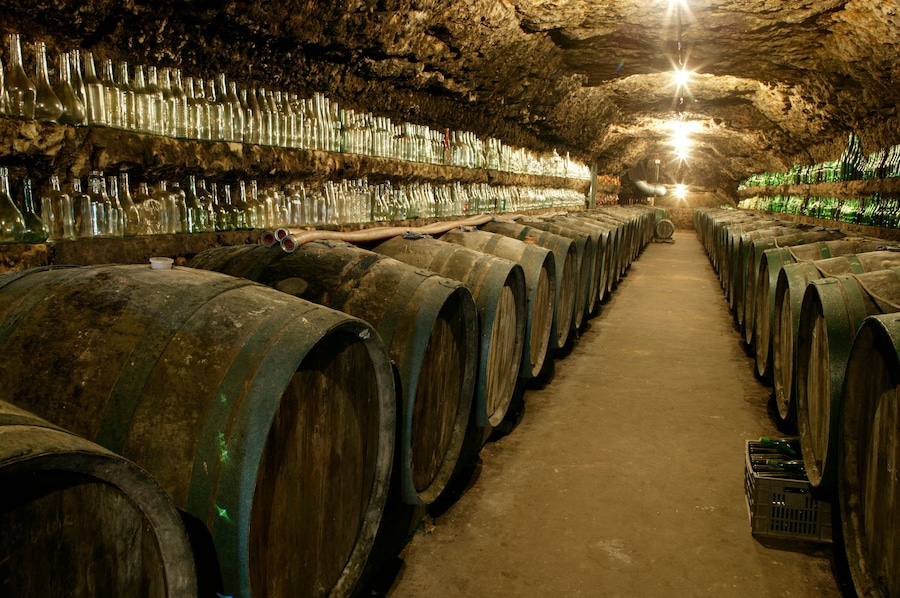 Oak wine barrels stay cool in a limestone cave.