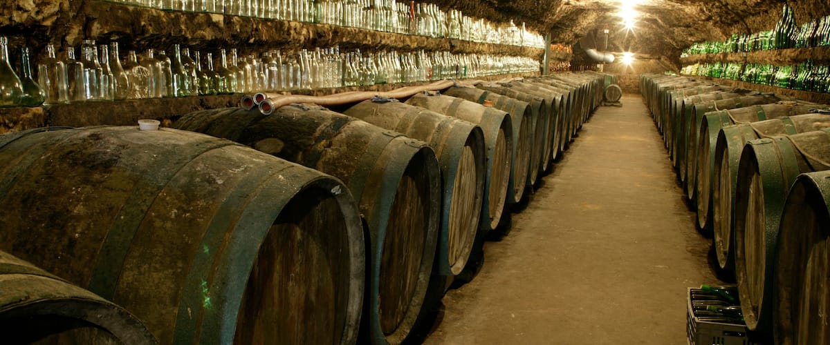 A wine cellar with rows of wooden barrels and shelves of wine bottles.