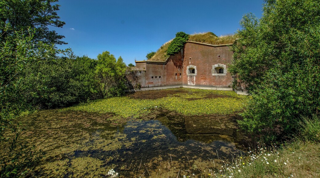 Moat full of fish, ducks and lillies surrounding the fort.