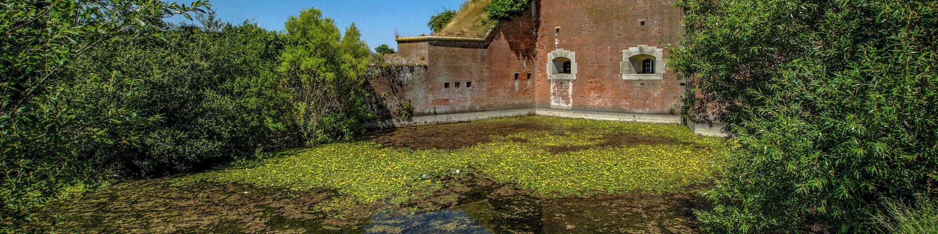 Moat full of fish, ducks and lillies surrounding the fort.