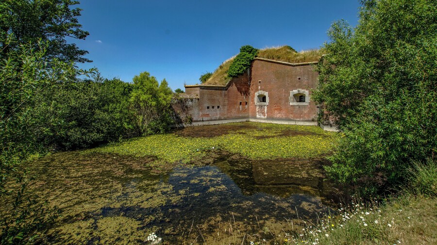 Moat full of fish, ducks and lillies surrounding the fort.