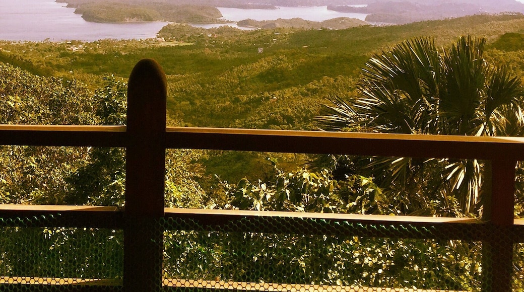 View from the balcony :)