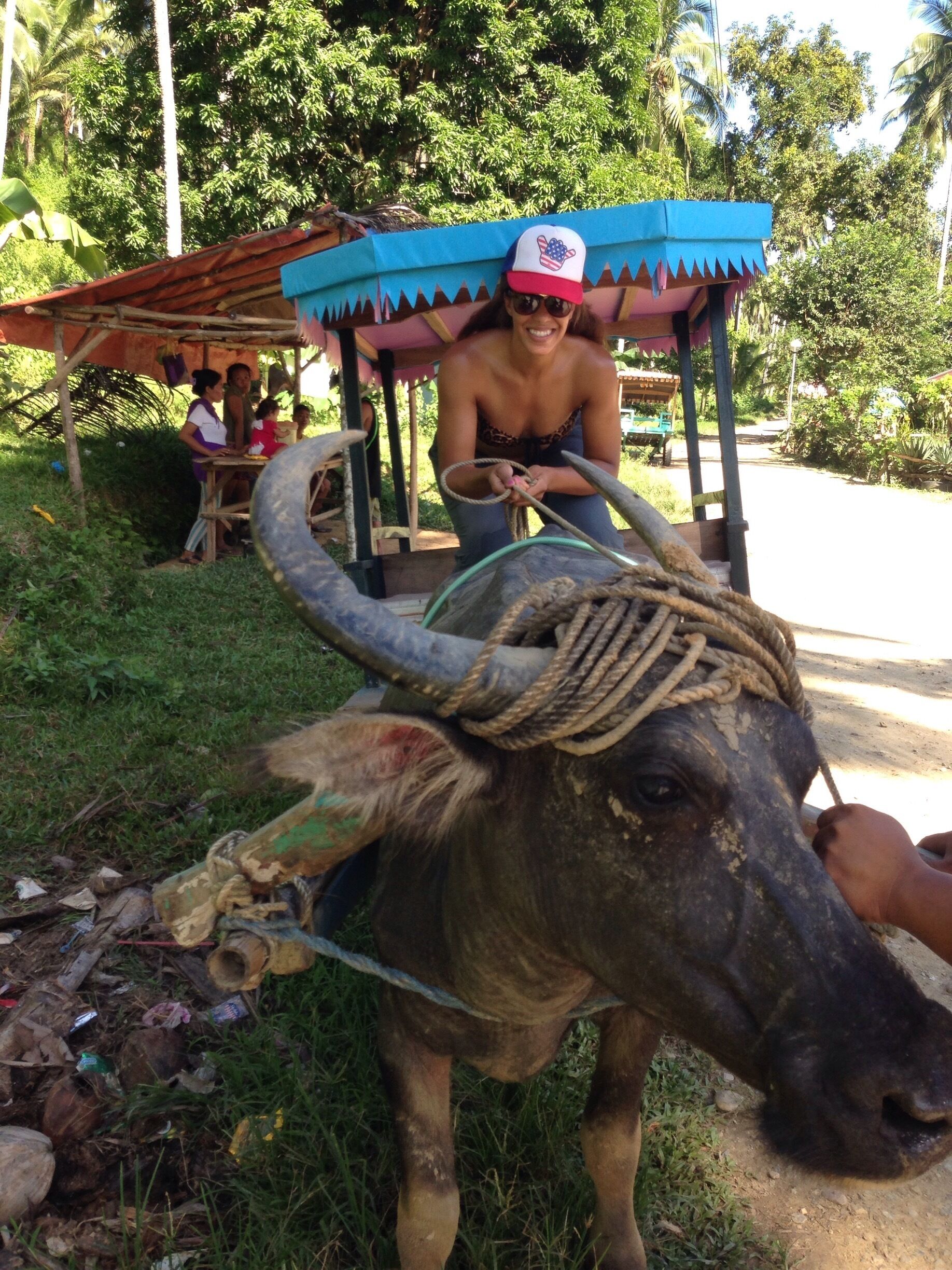 Impromptu #RoadTrip to Tamaraw Falls in the Philippines lead us to another random adventure. a water buffalo ride to a hidden paradise, rock climbing to waterfalls in Oriental Mindoro. You never know what adventure awaits you!