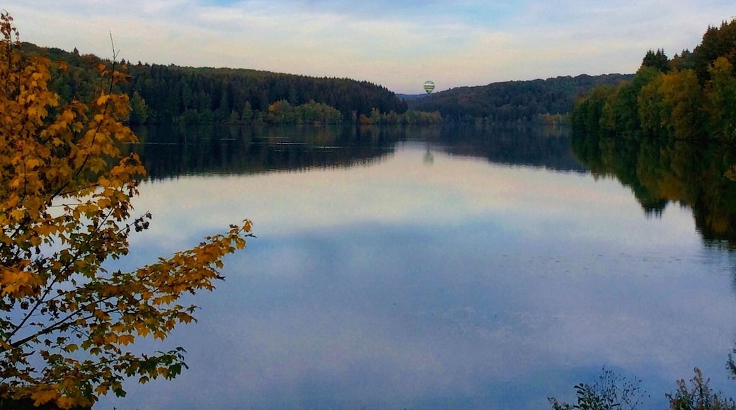 I love this time of the year when the leaves turn golden, the sun is shining and itâs still warm outside! Today it was such a great autumn day! đđđ