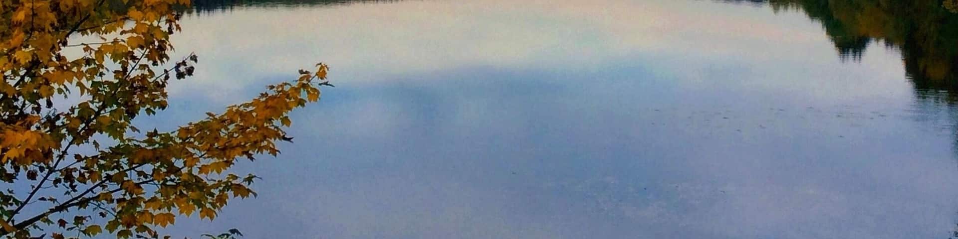 I love this time of the year when the leaves turn golden, the sun is shining and itâs still warm outside! Today it was such a great autumn day! đđđ