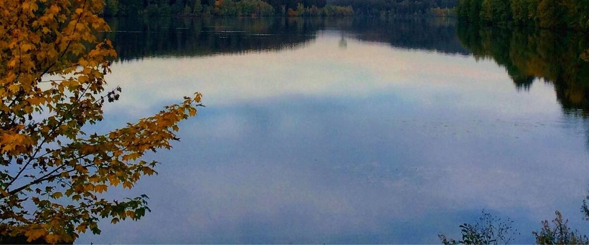 A calm lake surrounded by autumn-colored trees and a clear sky.