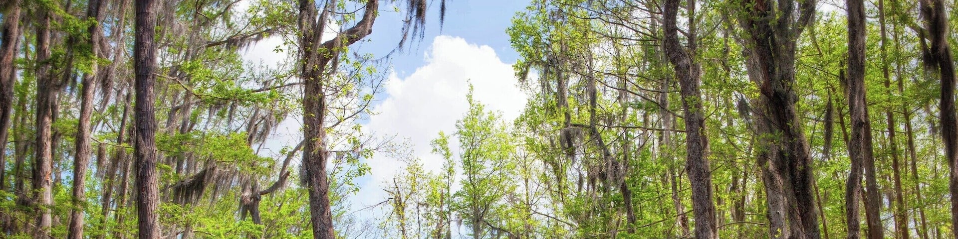 No matter how many times I go to Louisiana, I'll never get tired of it. So it's a good thing I have a lot of family there!