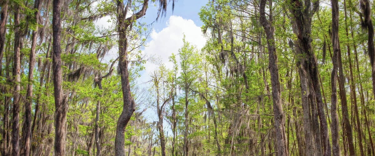 No matter how many times I go to Louisiana, I'll never get tired of it. So it's a good thing I have a lot of family there!