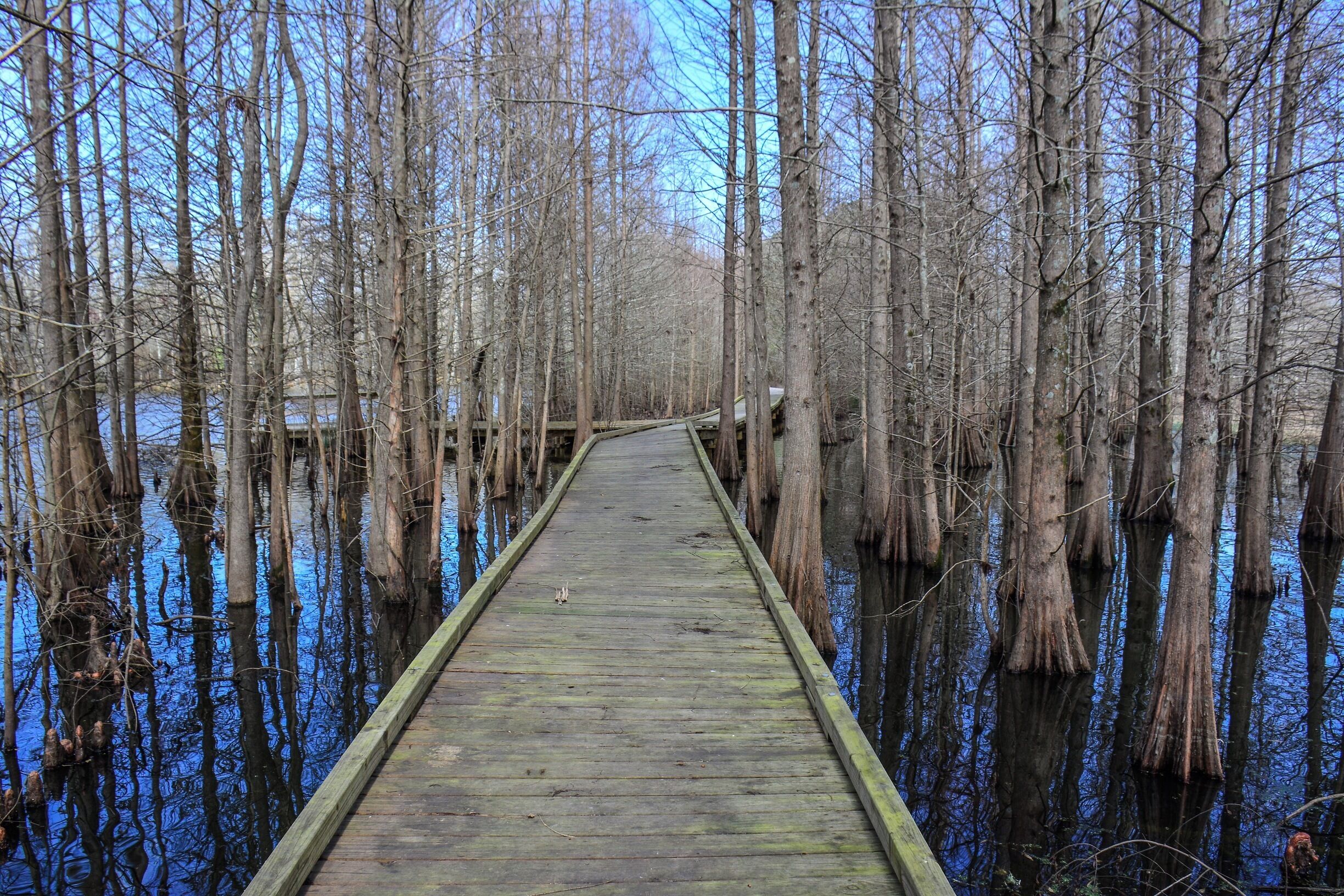 Bogue Chitto NWR, Pearl River, La.
