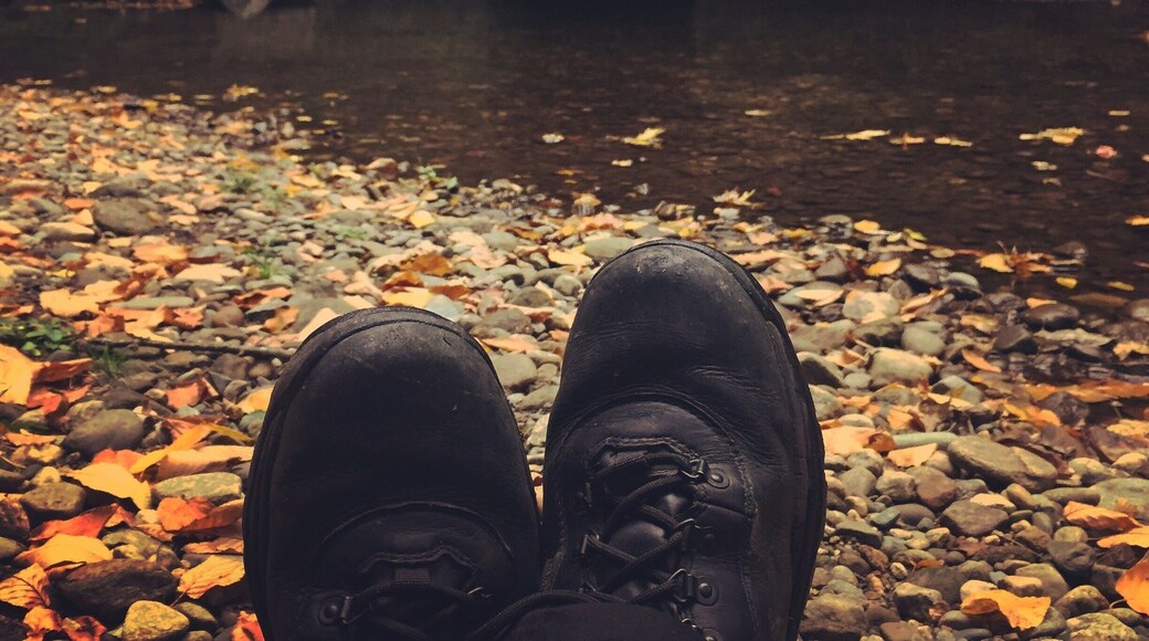 Enjoying the relaxing sounds of the stream slowly working its way under an old rail bridge in Northfield.