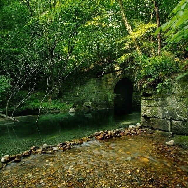 A hidden oasis from a forgotten era. A small pool of crystal clear water forms just outside the stone tunnel. An absolutely breath-taking find. The exact location couldn't be remembered, but I do remember its along this river and under the rail line. 