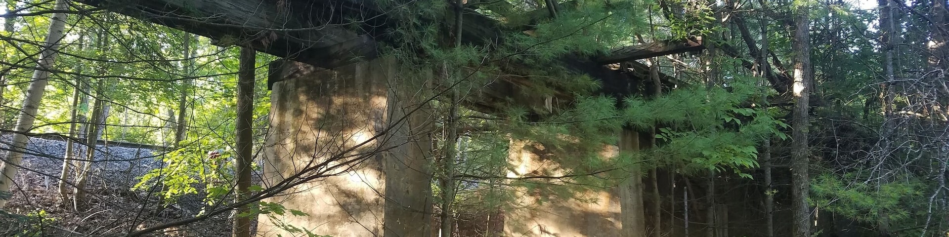 Abandoned train bridge