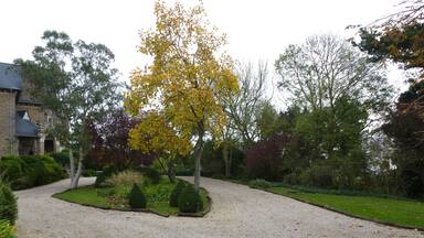 le parc du chateau richeux a st meloir des ondes
