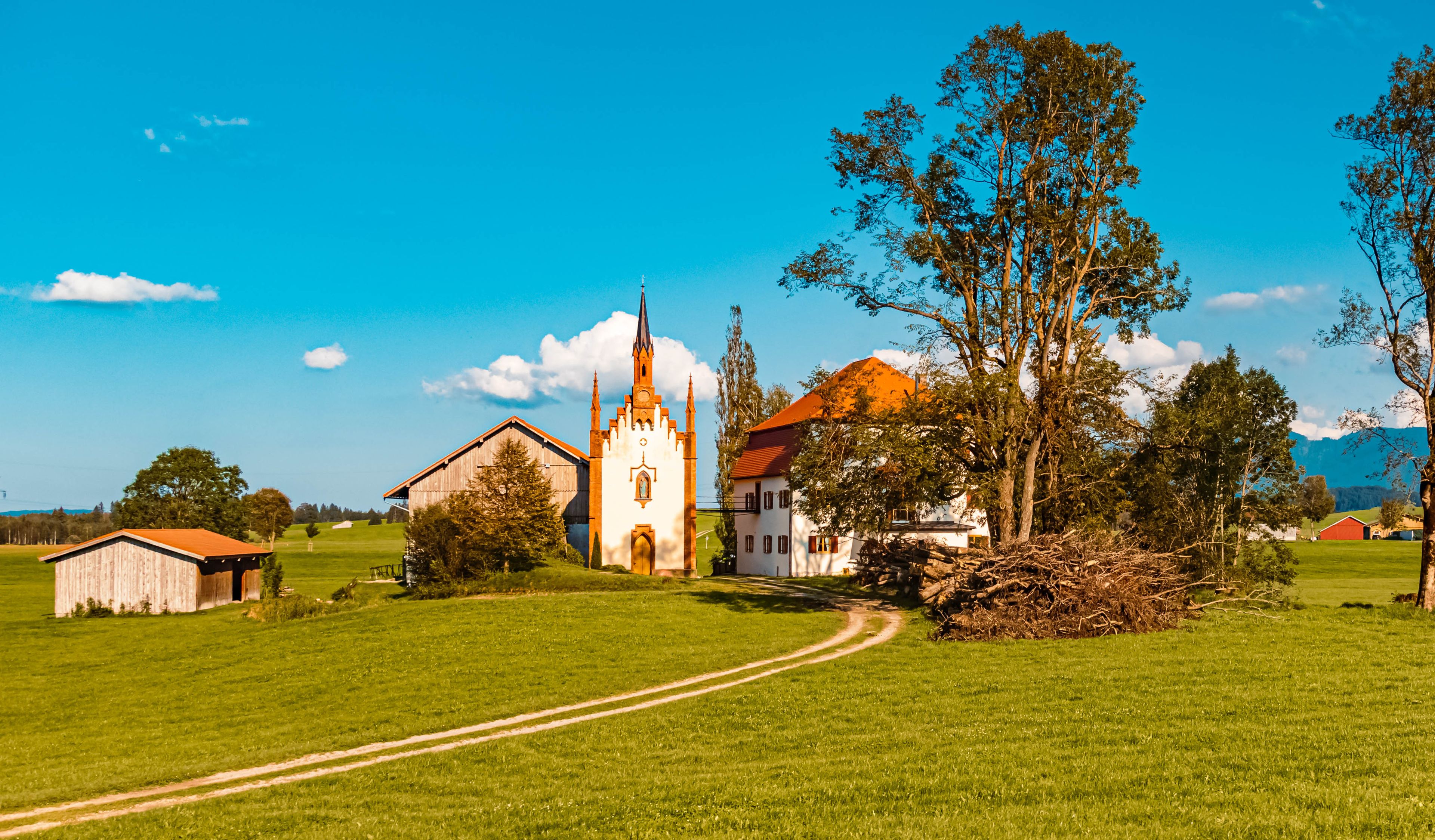 A church with a tall spire, a barn, and a large tree in a green field.
