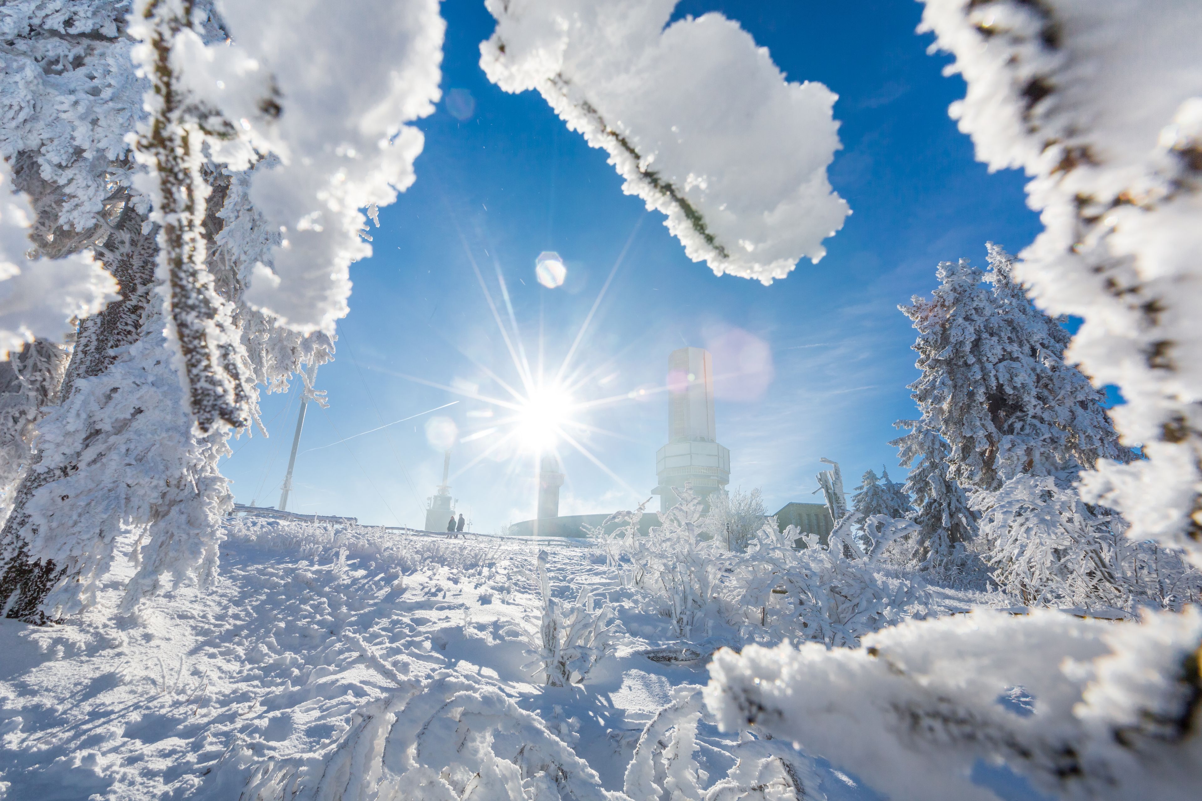 A snowy landscape with a bright sun, snow-covered trees, and a distant tower.