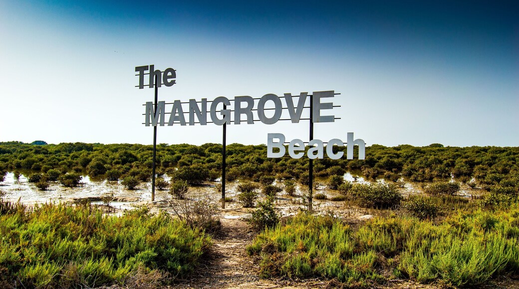 Beautiful shot of The Mangrove Beach sign on a natural background, Umm Al Quwain, UAE