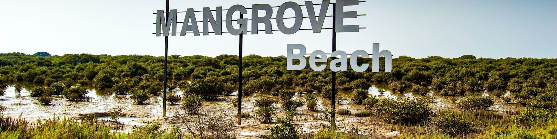 A sign for The Mangrove Beach with a backdrop of dense mangrove vegetation and a clear sky.