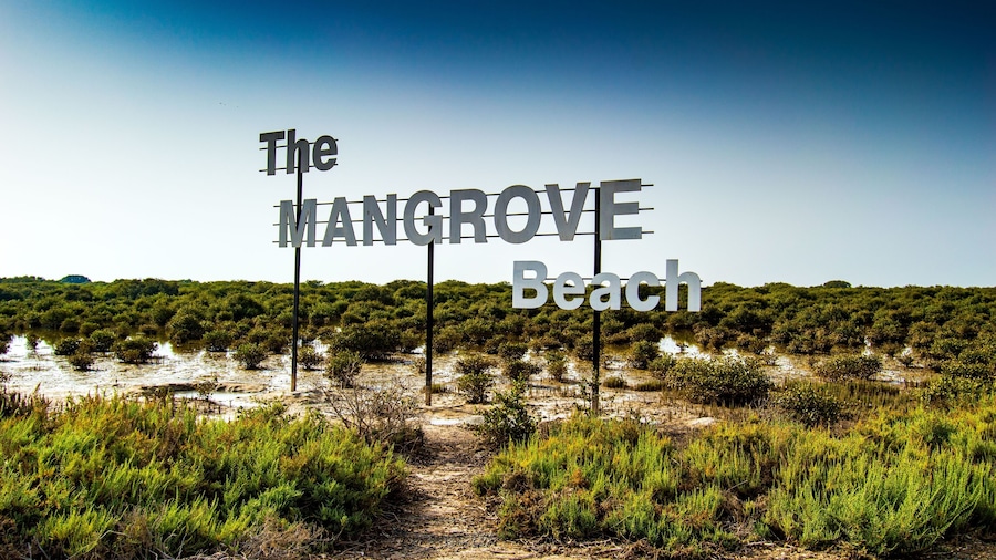 A sign for The Mangrove Beach with a backdrop of dense mangrove vegetation and a clear sky.