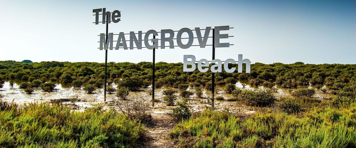 A sign for The Mangrove Beach with a backdrop of dense mangrove vegetation and a clear sky.