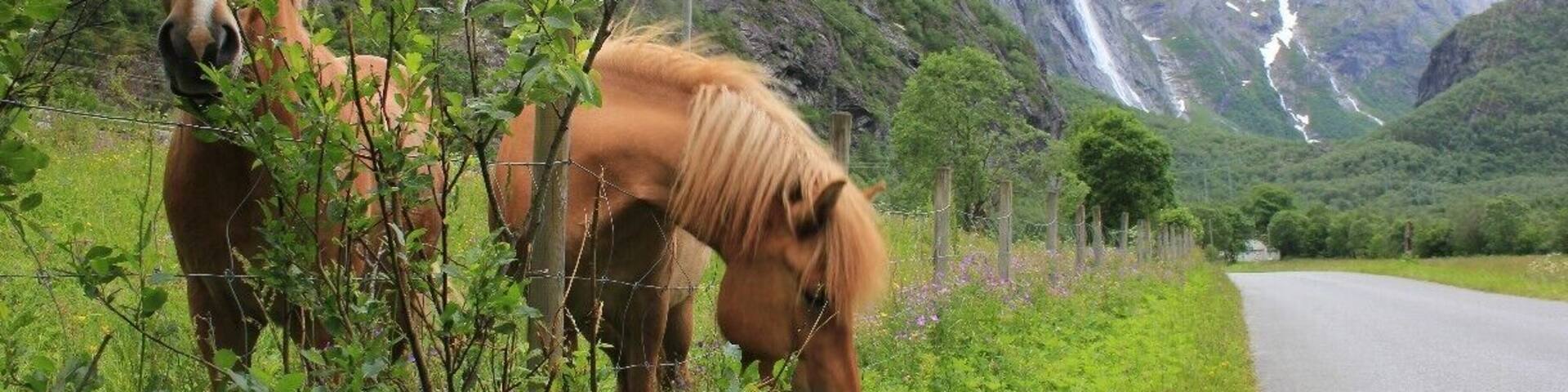 Aursjøveien, close to Sunndalsøra.