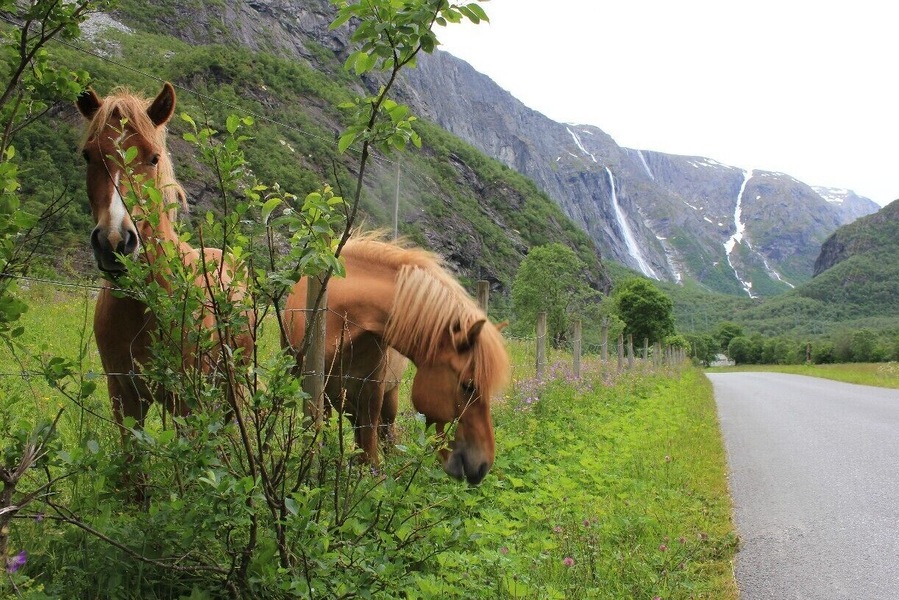 Aursjøveien, close to Sunndalsøra.