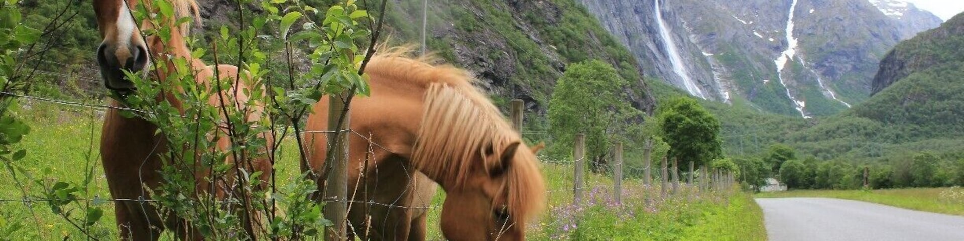 Aursjøveien, close to Sunndalsøra.
