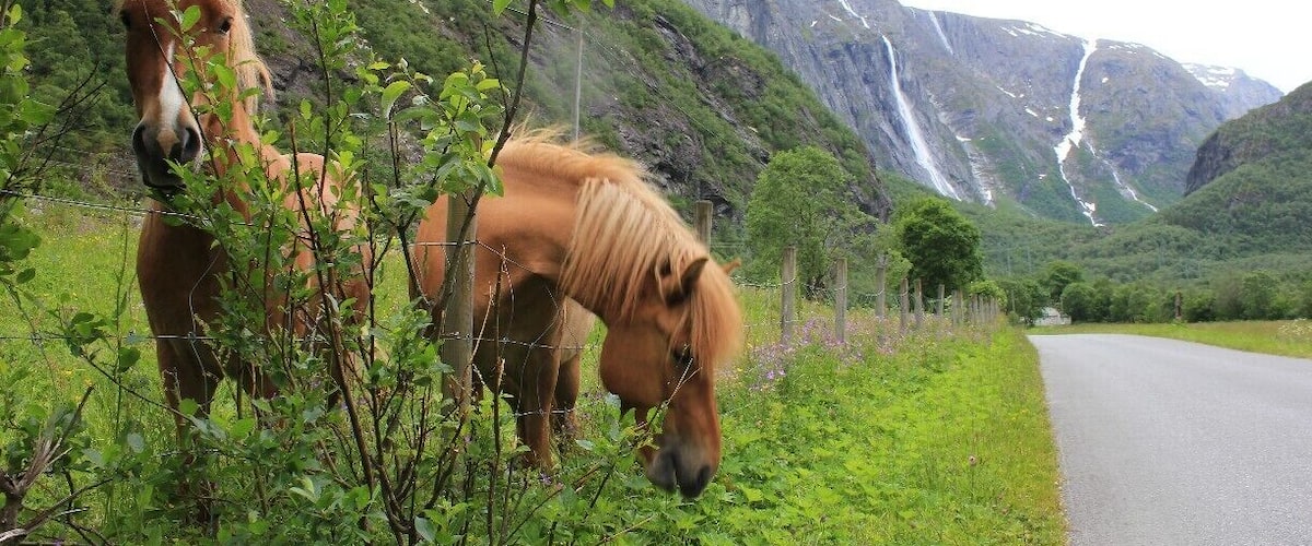 Two horses grazing near a road with a mountainous backdrop.