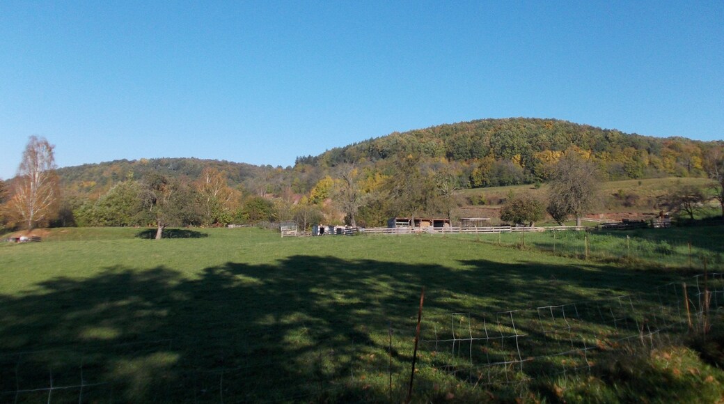 Landscape woth Weinberg hill (284 m) near Bad Kรถstritz