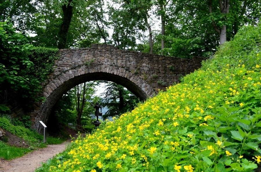 Bad Harzburg