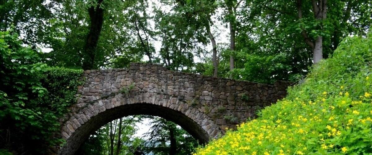 A stone bridge over a path, surrounded by greenery and yellow flowers.