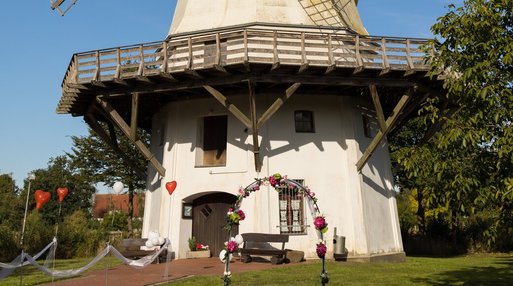 Een traditionele windmolen met een witte gevel en houten roerbladen, tegen een helderblauwe lucht.