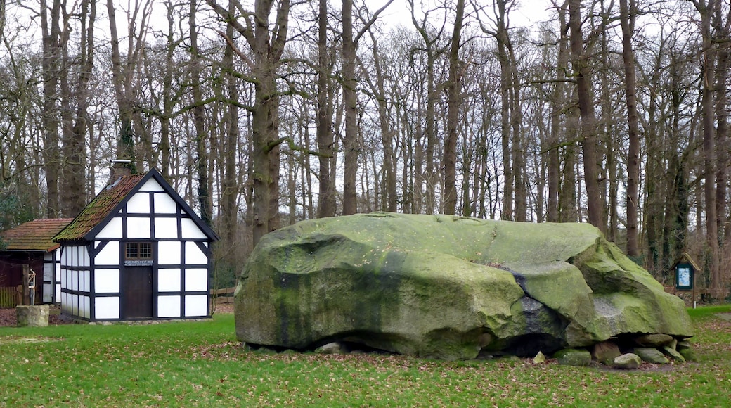 Der Große Stein und das benachbarte Backhaus in Tonnenheide (Ortschaft der Stadt Rahden) aus westlicher Richtung.