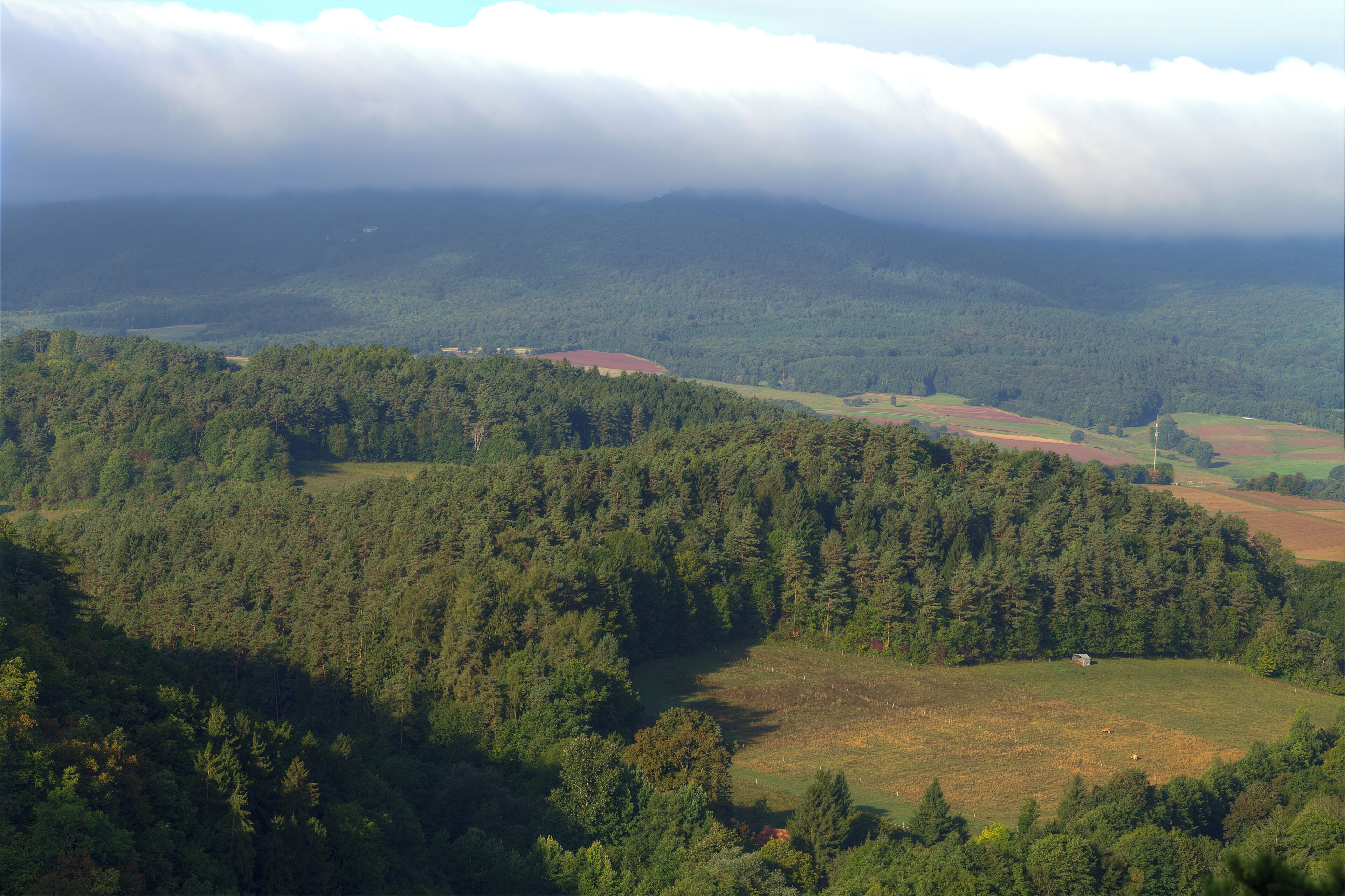 Blick vom Aussichtspunkt der Burg Bilstein im Höllental.