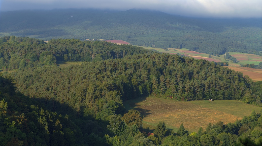 Blick vom Aussichtspunkt der Burg Bilstein im Höllental.
