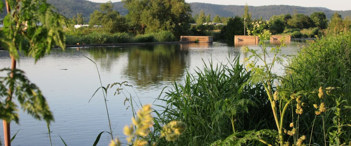 Blick über die Werra zum Werrawehr - Eschwege