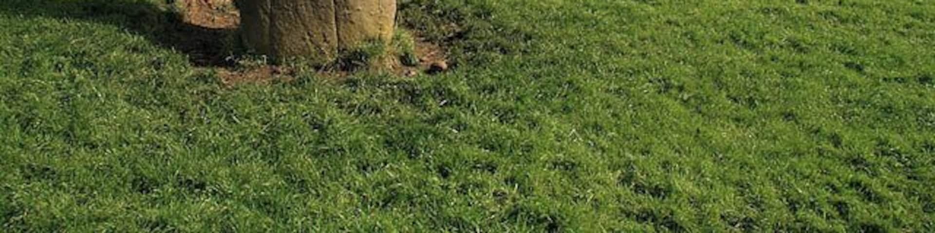 A standing stone at Lightshaw In a pasture field to the southeast of Lightshaw Farm.
