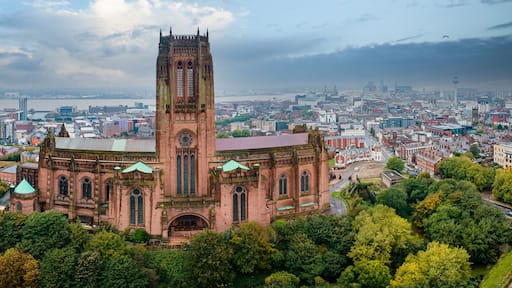 Eine historische Kirche mit hohem Turm und Glasfenstern, umgeben von Stadtansicht und üppigem Grün.