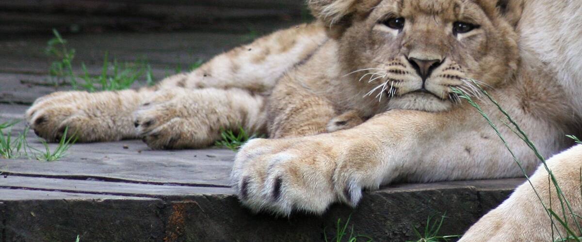 A special morning photo visit