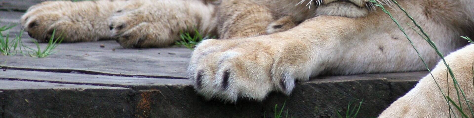 A special morning photo visit