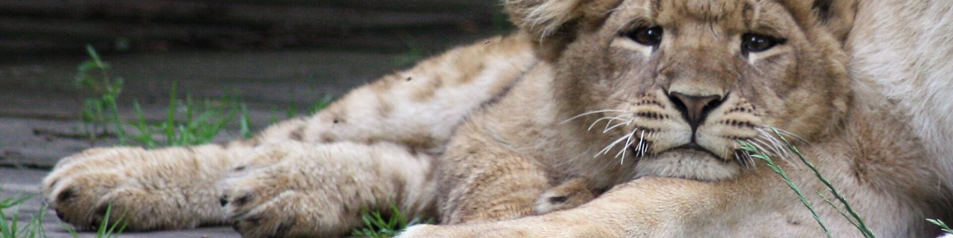 A special morning photo visit