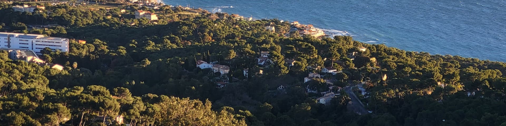 A coastal landscape with a curved shoreline, a marina, and a densely forested area with scattered buildings.