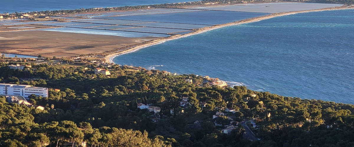 A coastal landscape with a curved shoreline, a marina, and a densely forested area with scattered buildings.