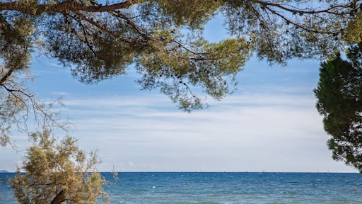 ๋ผ ๋กฑ๋ ๋ ๋ชจ๋ฅด