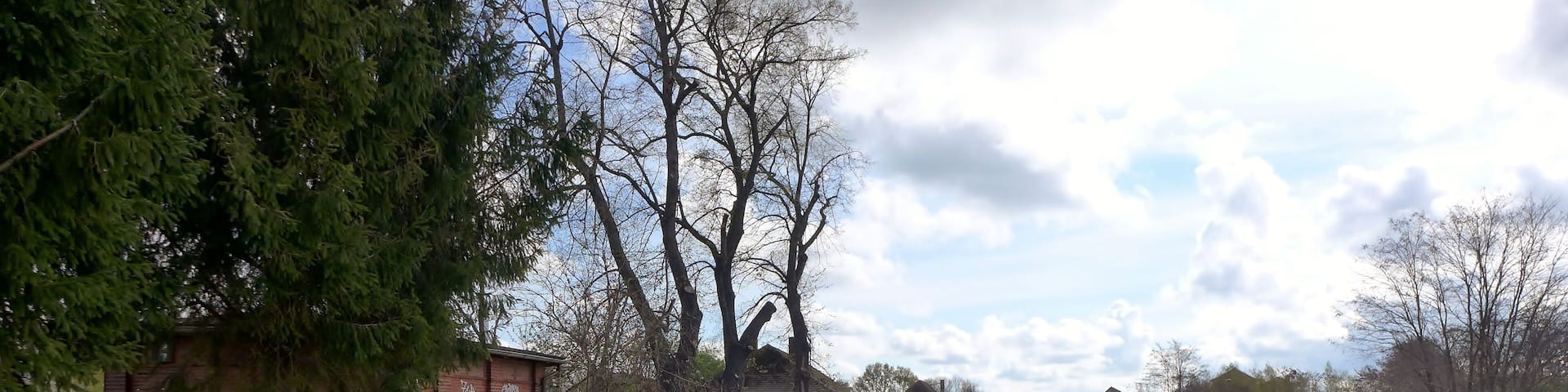 View of the station yard at the eastern end of Bahnhof Oschersleben (Bode).