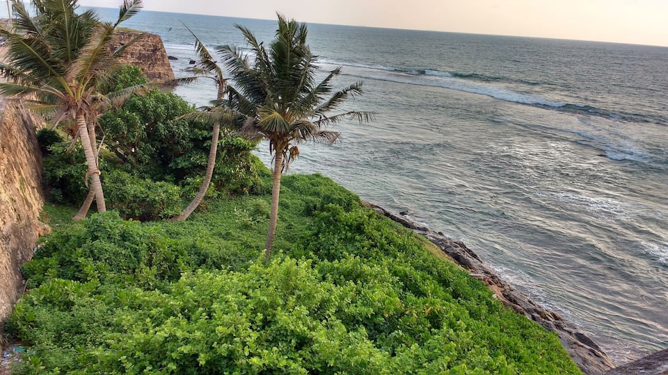 A coastal landscape with lush greenery, palm trees, and rocky cliffs overlooking the ocean.