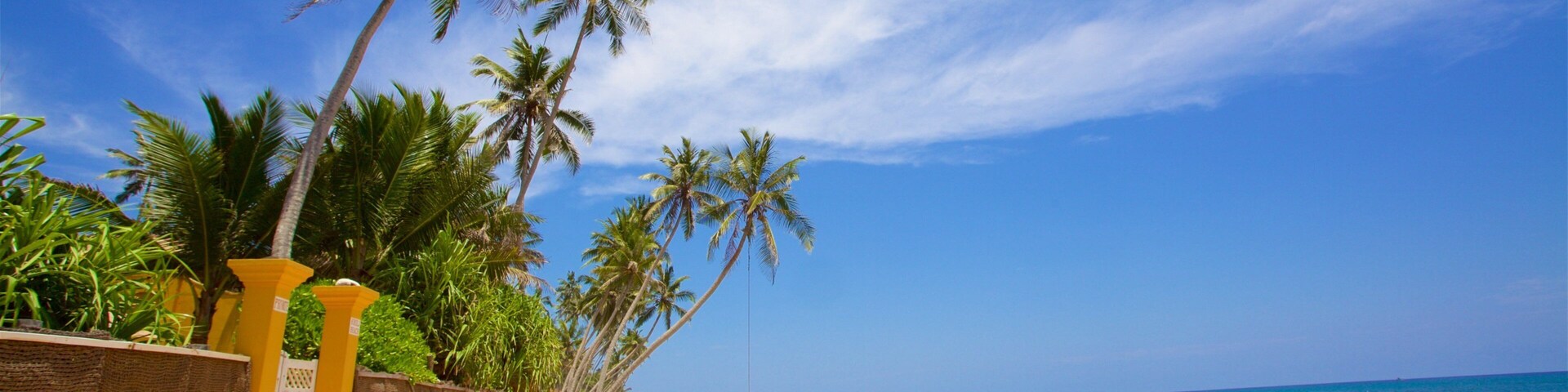 Uma praia com palmeiras e um céu azul claro.