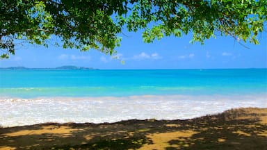 Galle featuring general coastal views