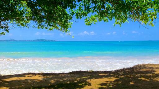 Galle som viser kyst