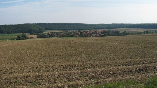 Blick vom Kelzer Berg auf Kelze