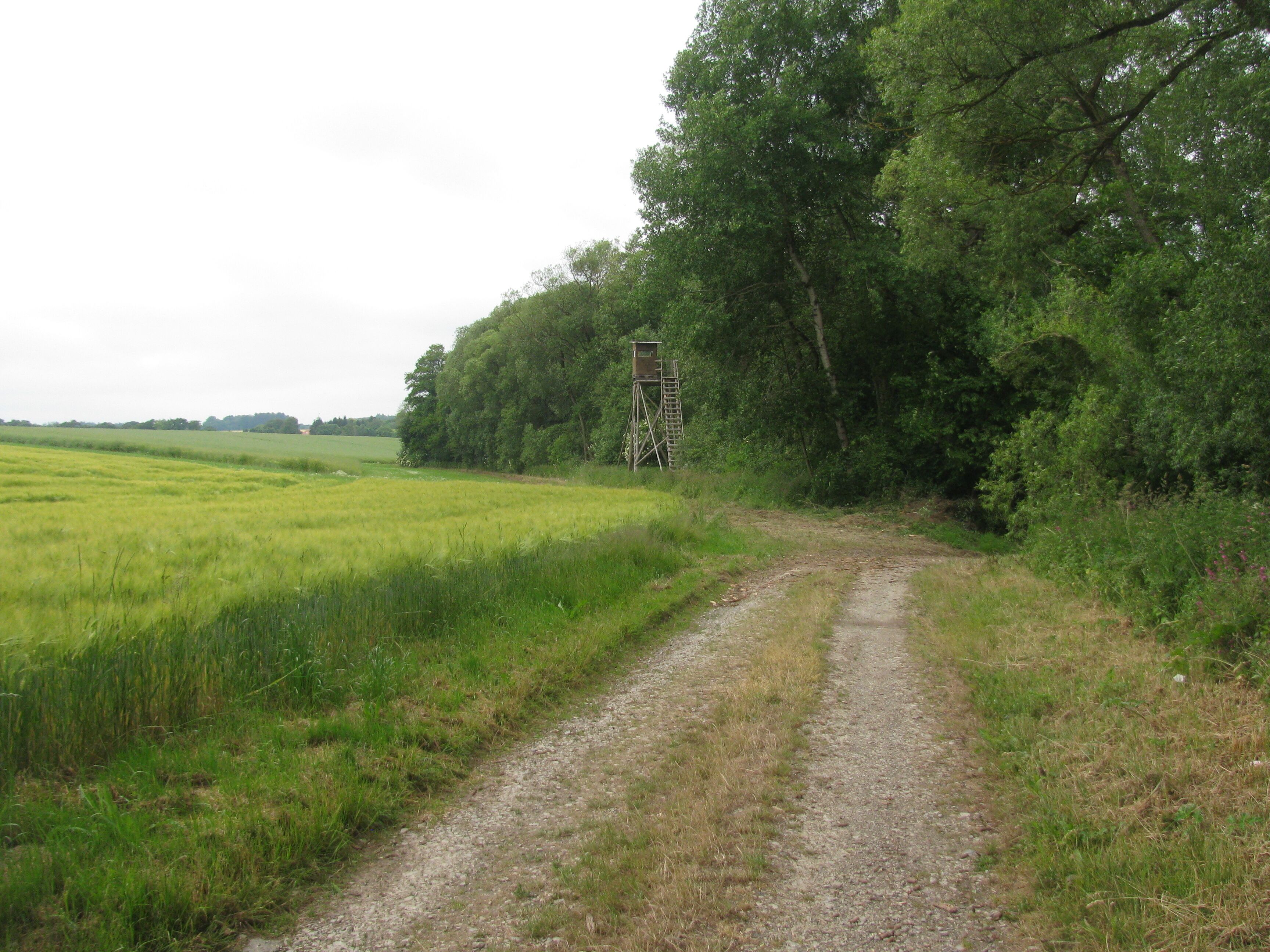 der Bach Holzape nördlich der Beberbecker Hute ist hier Teil des FFH-Gebiets 4422-350 „Holzapetal“.